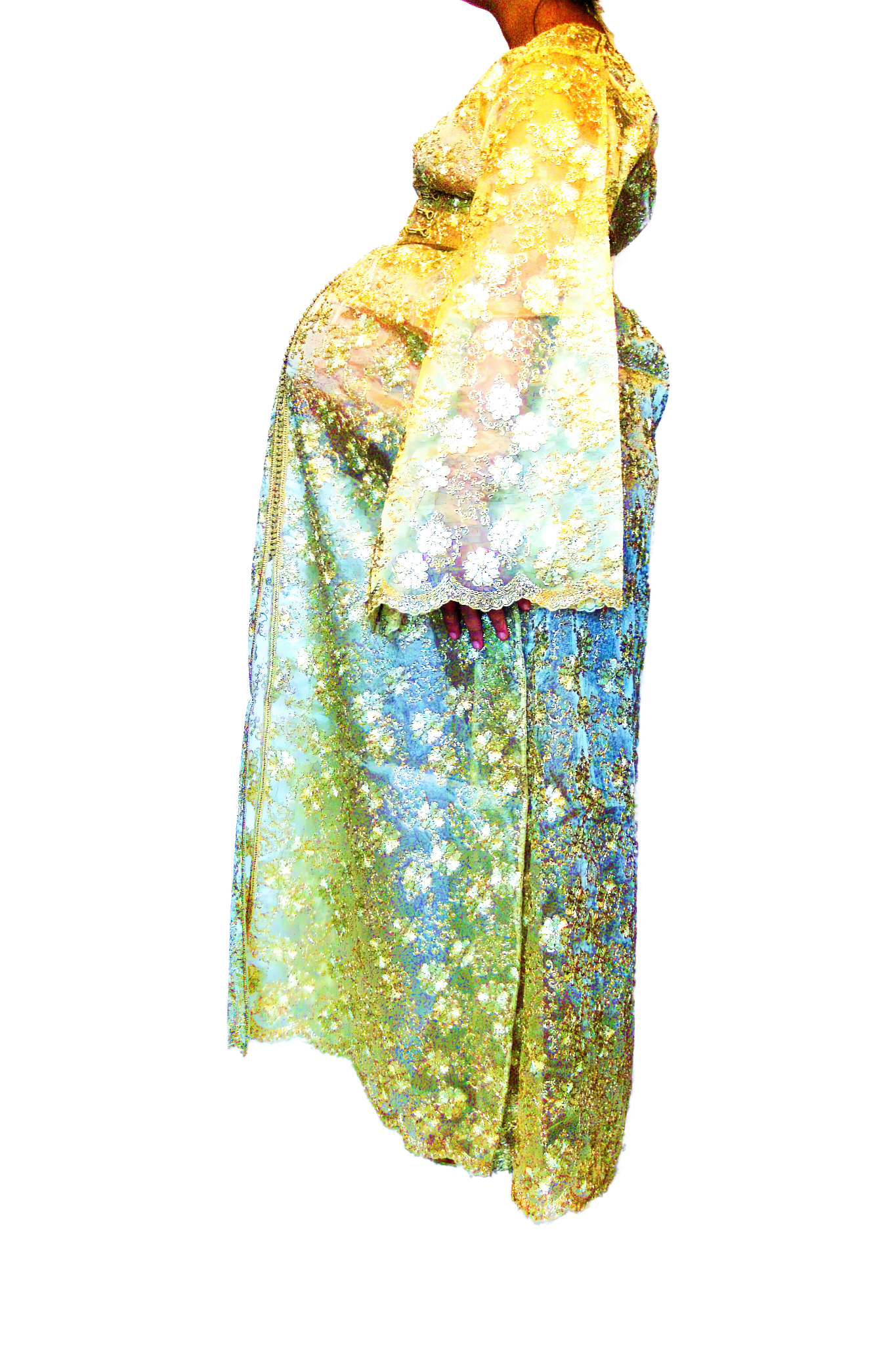 Le Corps Pansant - 2009